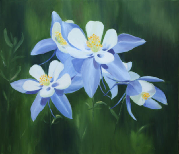 Akelei (70x60)   2013