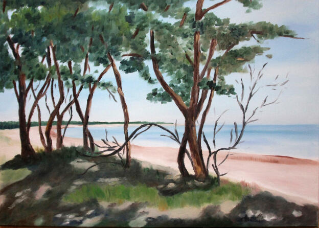 Strand auf Gotland   50x70   2017