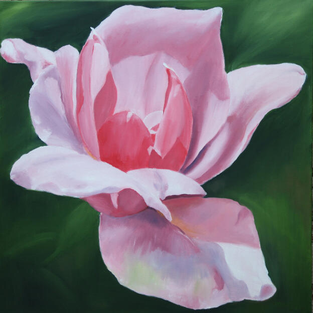 Rose (60x60)   2013