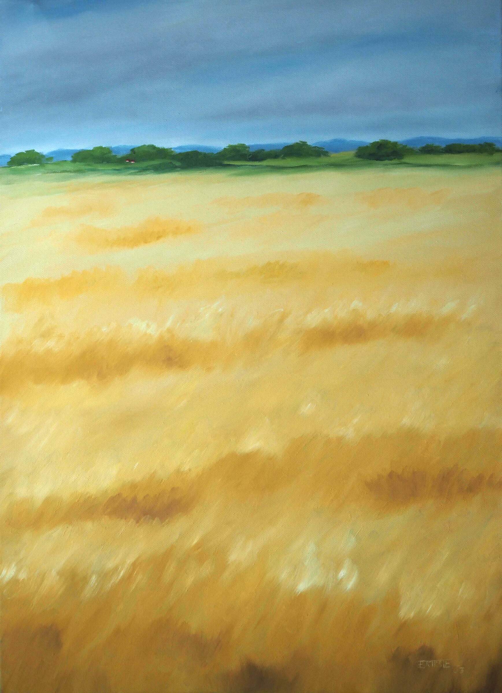Kornfeld  50x60