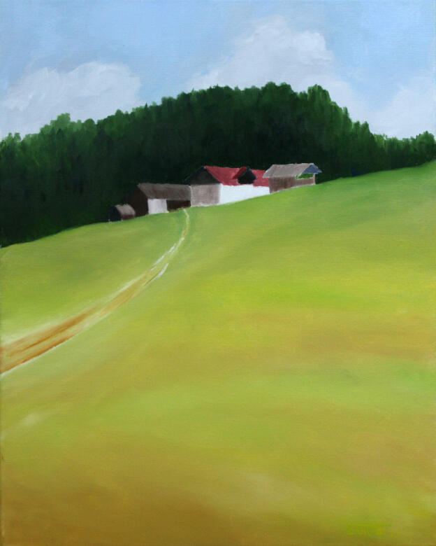 Höfe in Hafling   40x50   2017